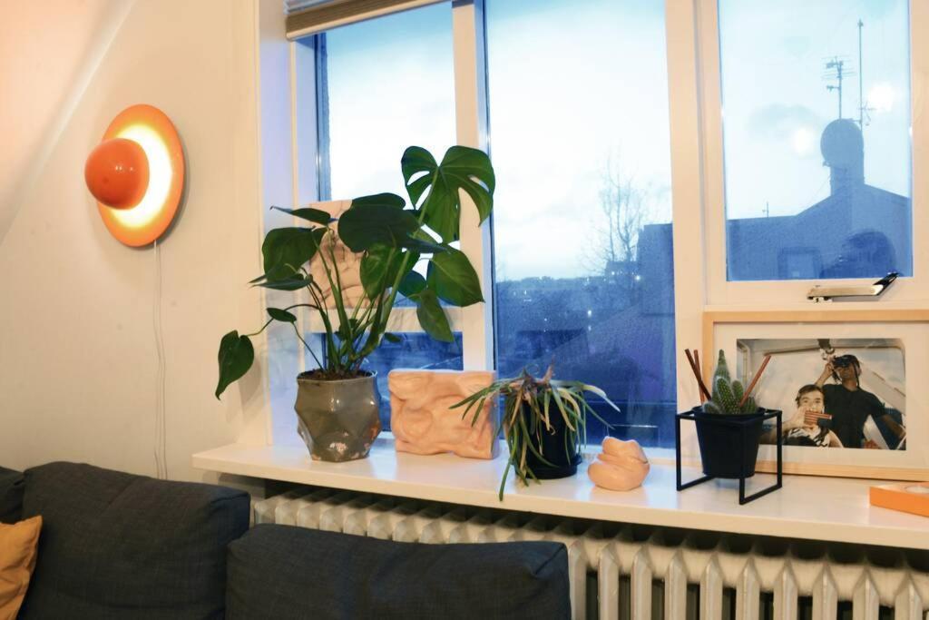 Unique 2 Bedroom Apartment Downtown 레이캬비크 외부 사진